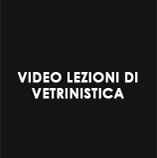 video lezioni di vetrinistica